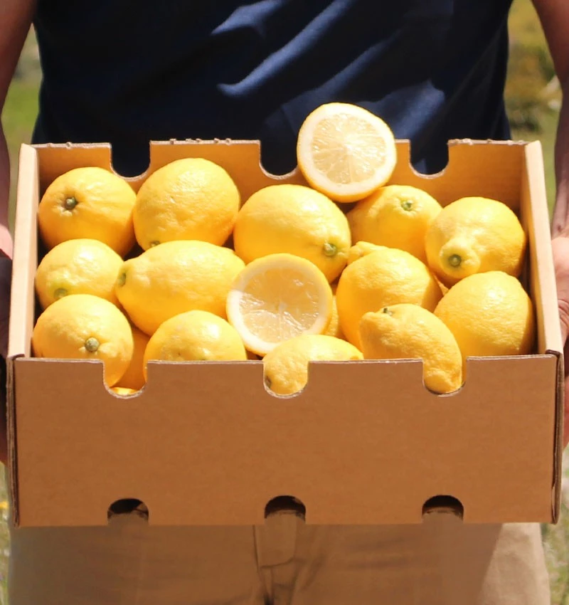 Limones De Temporada Directos Del Árbol Tropitop 4kg_1