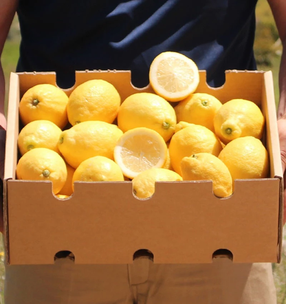 Limones De Temporada Directos Del Árbol Tropitop 4kg_1