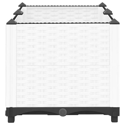 Arriate Polipropileno 80x40x38 Cm_2