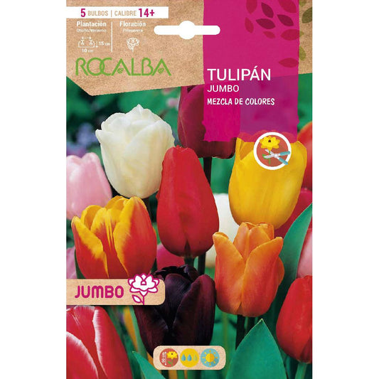 Mistura para bolbos de tulipa jumbo 5 unidades Rocalba