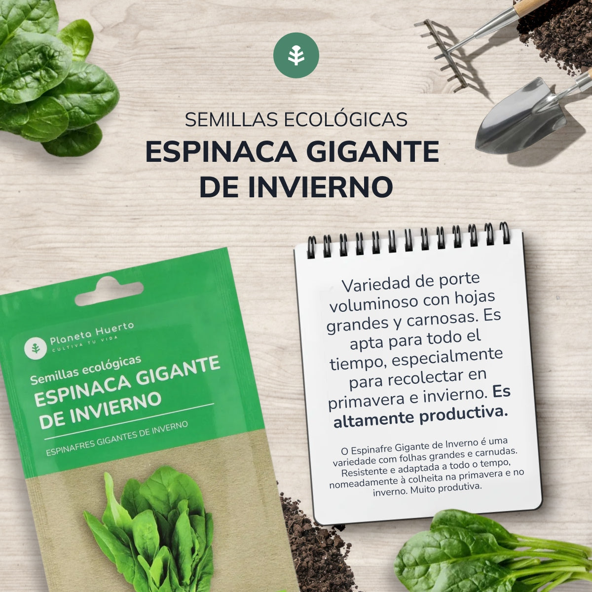 Sementes de espinafre gigante de inverno biológicas Planeta Huerto