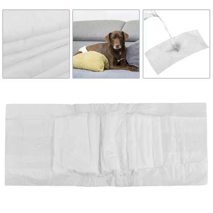 Pañales Desechables Para Perros Macho 12 Unidades Talla S_1
