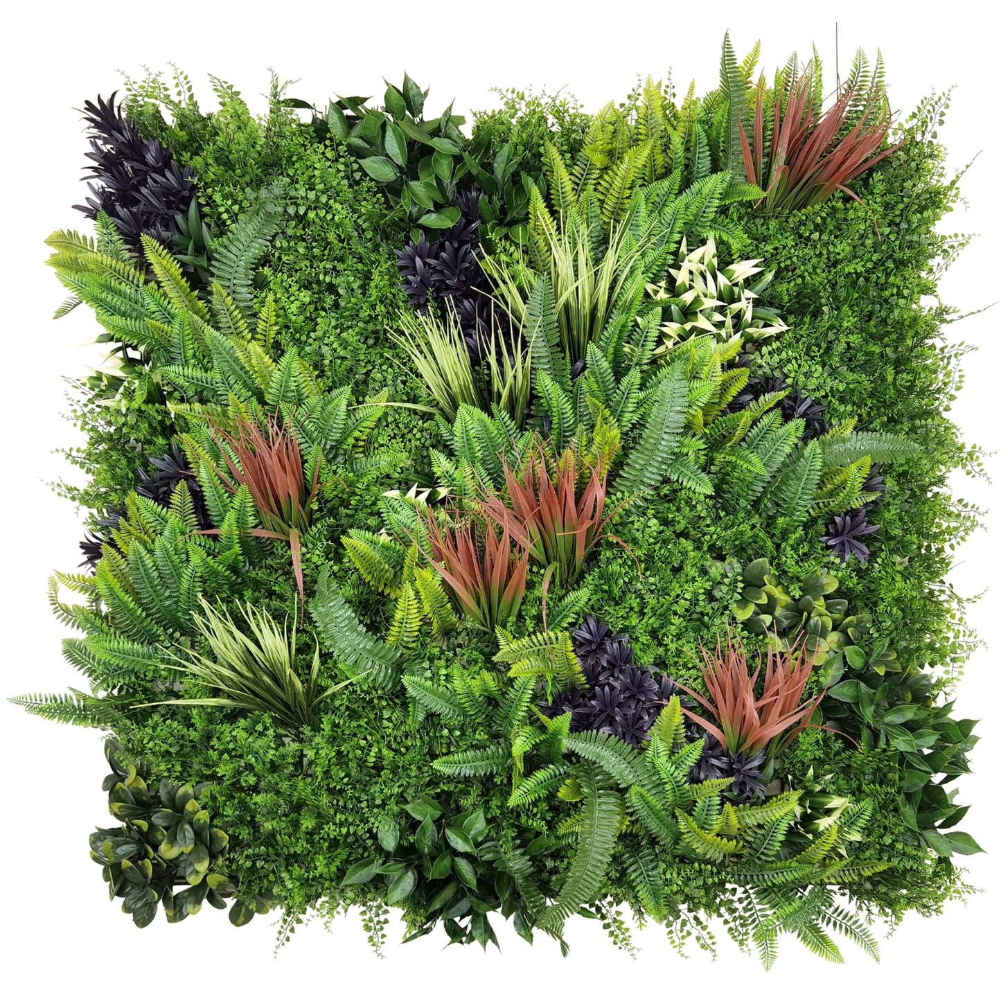 Bonerva | Jardín Vertical Amazonas | Pack 3 Piezas 100x100 Cm_0