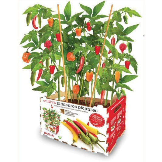 Pimentos Premium Batlle Hot Garden