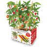 Pimentos Premium Batlle Hot Garden