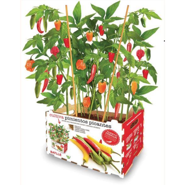 Pimentos Premium Batlle Hot Garden