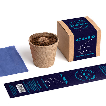 Cultivos del Zodiaco – Acuario, Kit de Cultivo con Semillas de Guindilla - Resetea_3