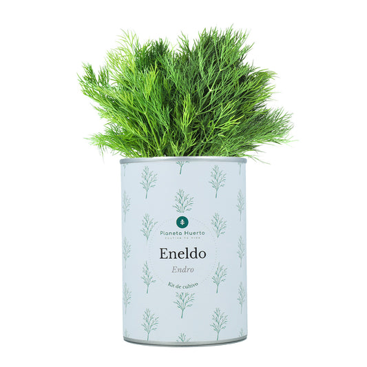 Kit de cultivo de aneto aromático Planeta Huerto