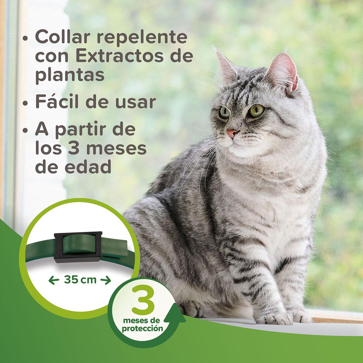 Coleira repelente Beaphar Bio Band para gatos 35 cm