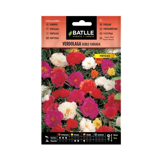 Sementes de beldroegas Batlle