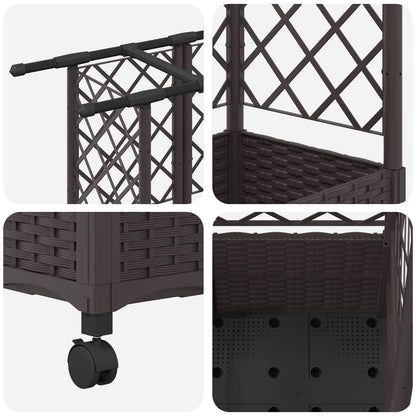 Cama Elevada Con Trellis Y Techo Marrón 124 X 40 X 142 Cm Pp_5