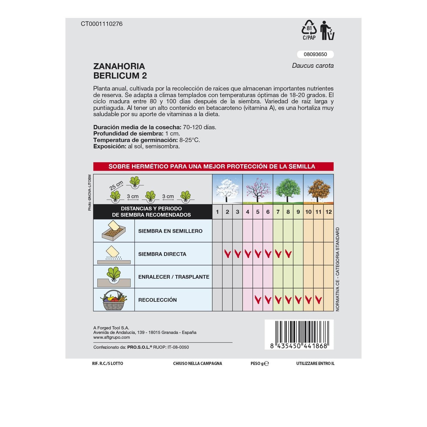 Semillas Huerto Zanahoria Berlicum_1
