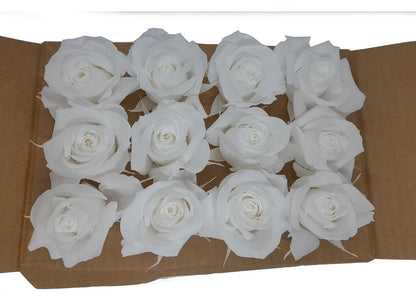 Mundo Eterno Rosas Blancas Preservadas 12 Unidades 3-4cm_0