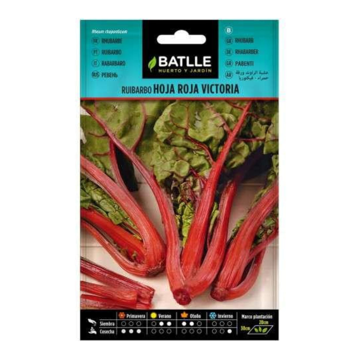 Sementes de ruibarbo Victoria Red Leaf