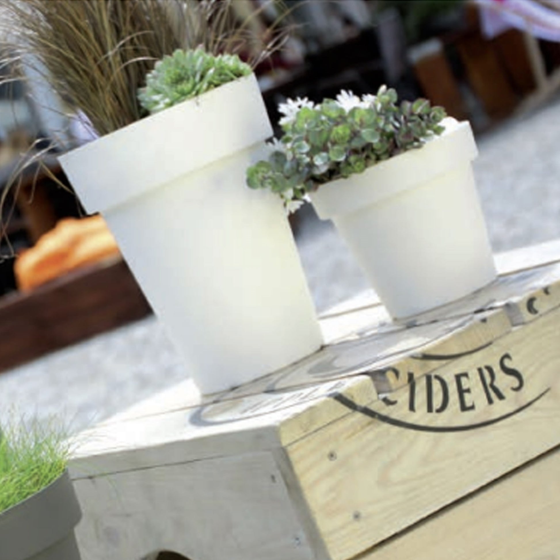 Maceta De Plastico Lofly En Color Blanco 24,5 (largo) X 24,5 (ancho) X 22,5 (alto) Cm