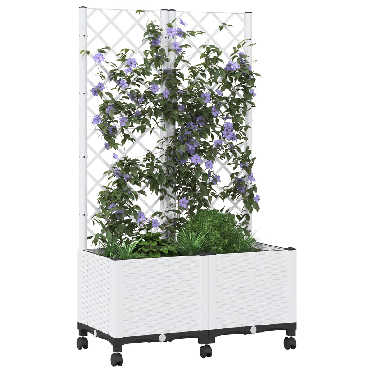 Jardinera Con Enrejado Y Ruedas Blanco 80 X 40 X 146 Cm Pp_2