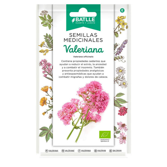 Sementes medicinais biológicas de Valeriana Batlle