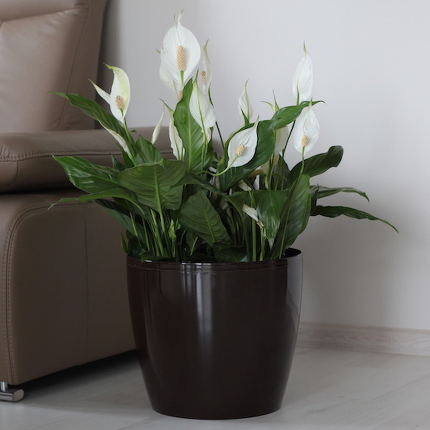 Macetero Magnolia 300 Granate