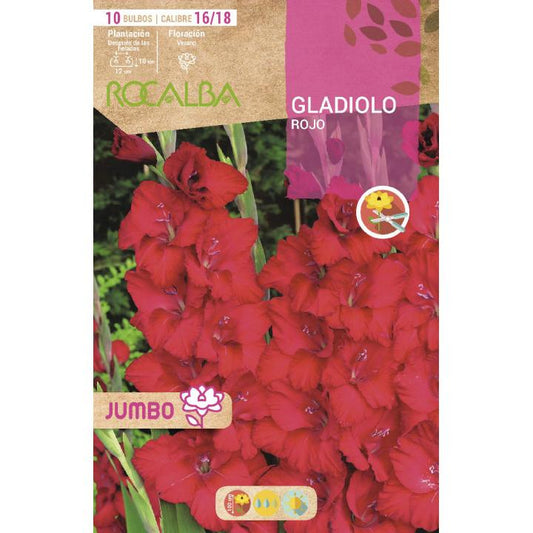 Bolbo de Gladíolo Vermelho Jumbo 10 unidades (16/18)