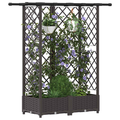 Cama Elevada Con Trellis Y Techo Marrón 124 X 40 X 121 Cm Pp_2