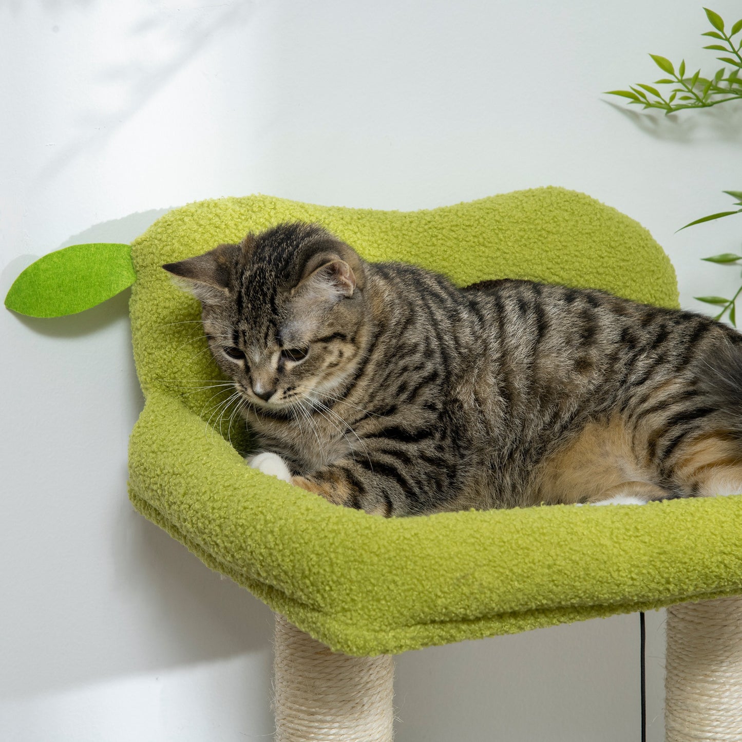Pawhut Árbol Rascador Para Gatos Altura 83 Cm Con Cama Forma De Aguacate Y Bola_4