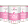 Pack de 3 frascos de Colagénio Beauty Viteba 330g x 3 – Péptidos de colagénio SEM sabor NEM cheiro – Ácido Hialurónico, Vitamina C e Zinco