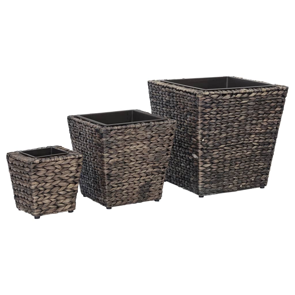 Conjunto De Arriates 3 Piezas Jacinto De Agua Marrón_0