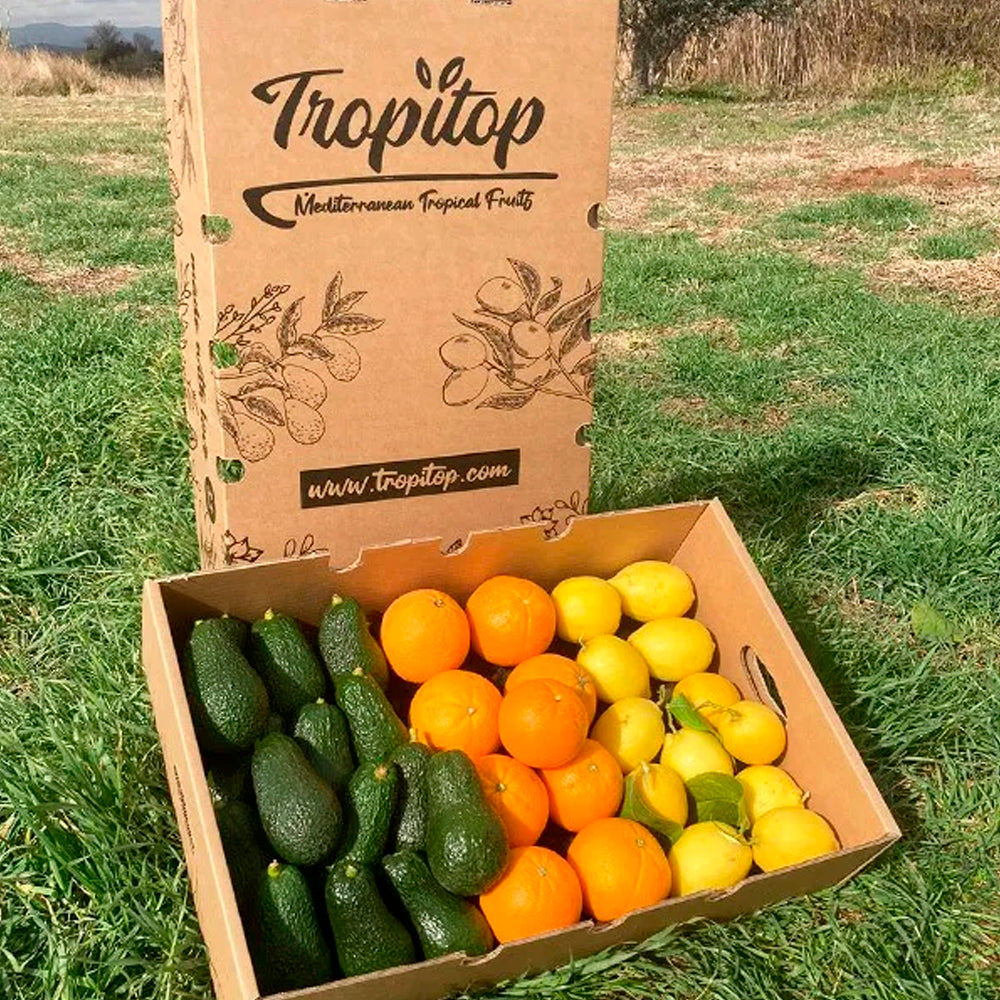 Caja 6kg Aguacates Hass, Naranjas Y Limones Directo Del Campo Tropitop (2kg De Cada Fruta)_5