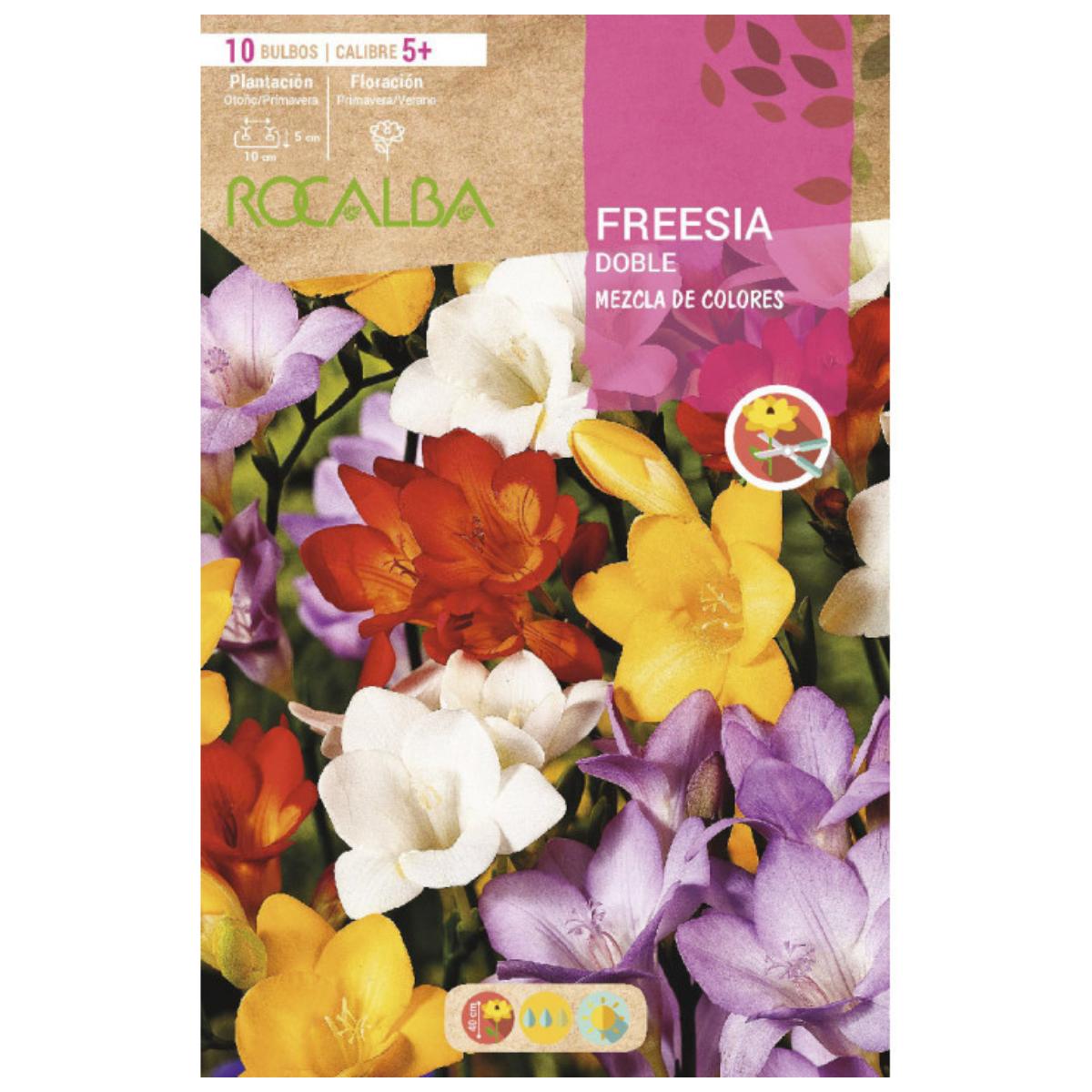 Bolbo de Freesia mix duplo 10 unidades Rocalba