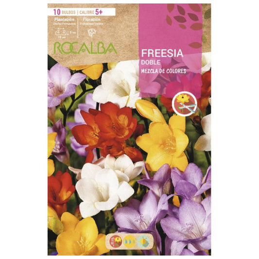 Bolbo de Freesia mix duplo 10 unidades Rocalba