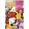 Bolbo de Freesia mix duplo 10 unidades Rocalba