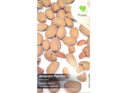 Almendro Marcona M22 160-180cm_0
