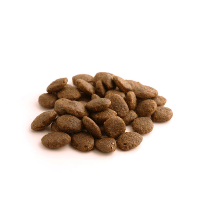 Fish4dogs Pienso Para Perro Adulto Sin Cereales – Salmón Y Patata 1,5 Kg_1