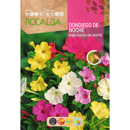 Sementes de glória da manhã, variegadas