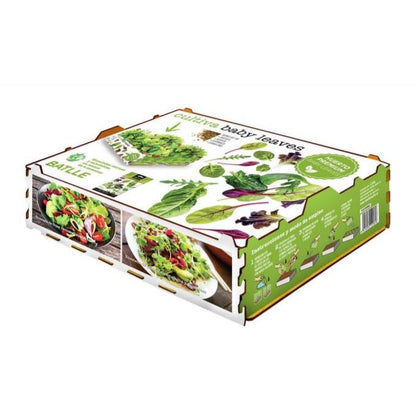 Folhas Premium Baby Gourmet Garden Batlle