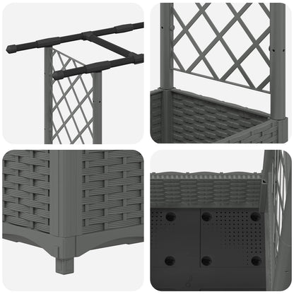 Cama Elevada Con Trellis Y Techo Gris Claro 164 X 40 X 121 Cm_5