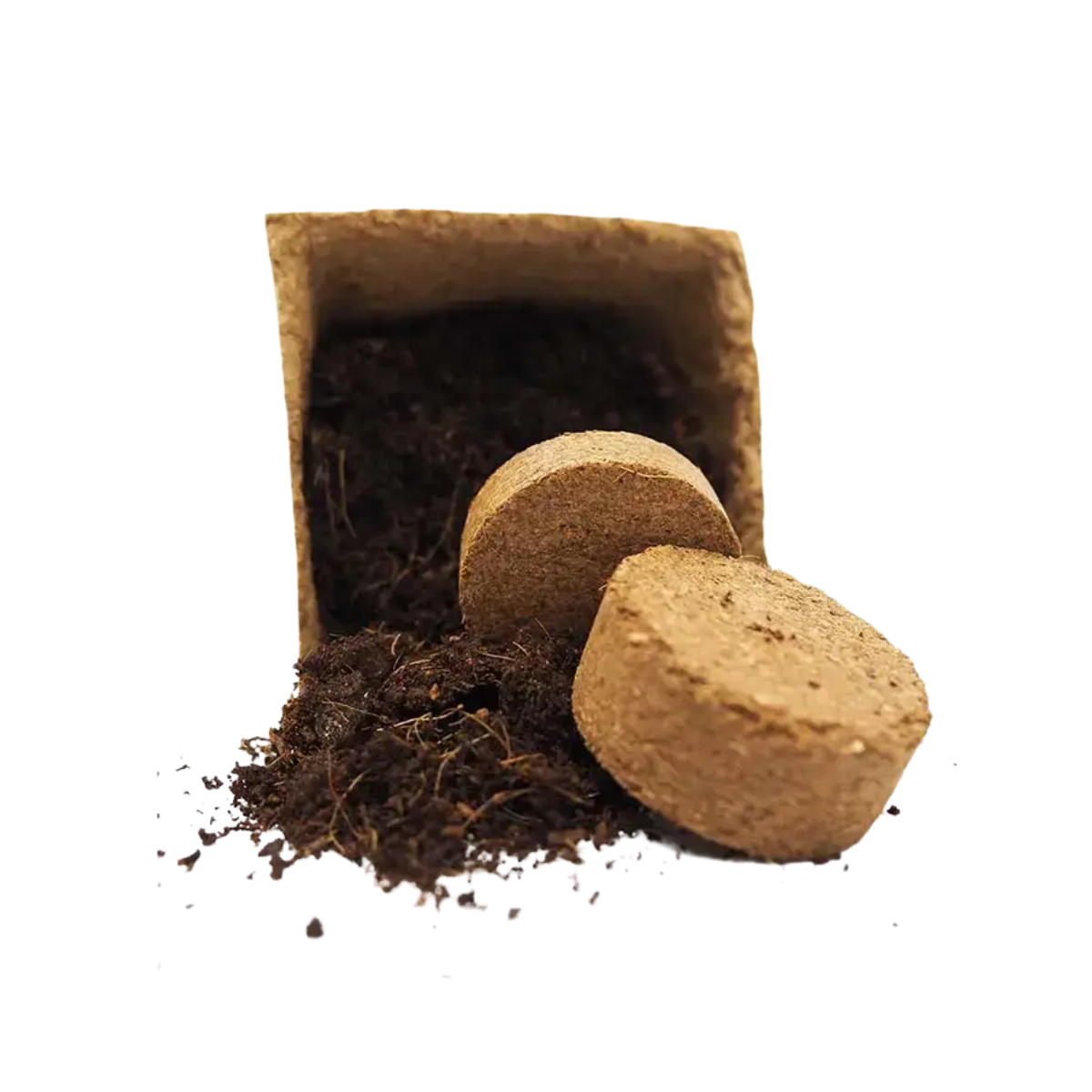 Kit De Cultivo De Pepino Largo Verde Grow Me – Huerto Urbano Ecológico_2