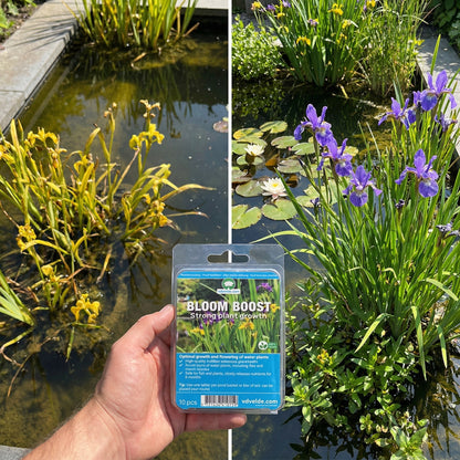 Bloom Boost Tabletas Abono 10 Unidades - Plantas Estanque - 6 Meses_1