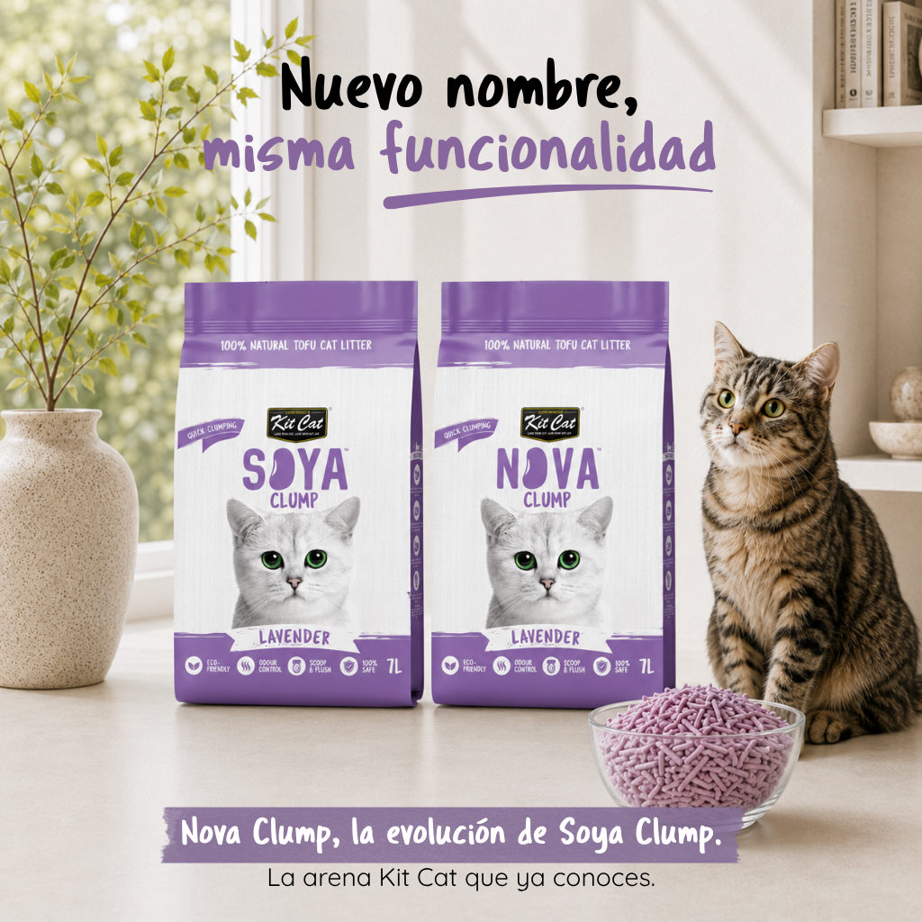 Kit de areia para gatos Eco SoyaClump - Lavanda 7 L