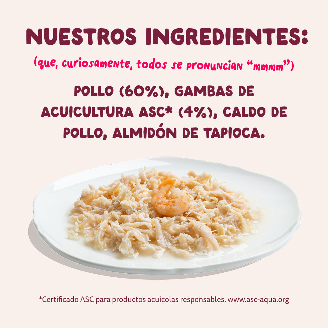 Filetes de pollo con gambas para gatos Edgard & Cooper 70 g