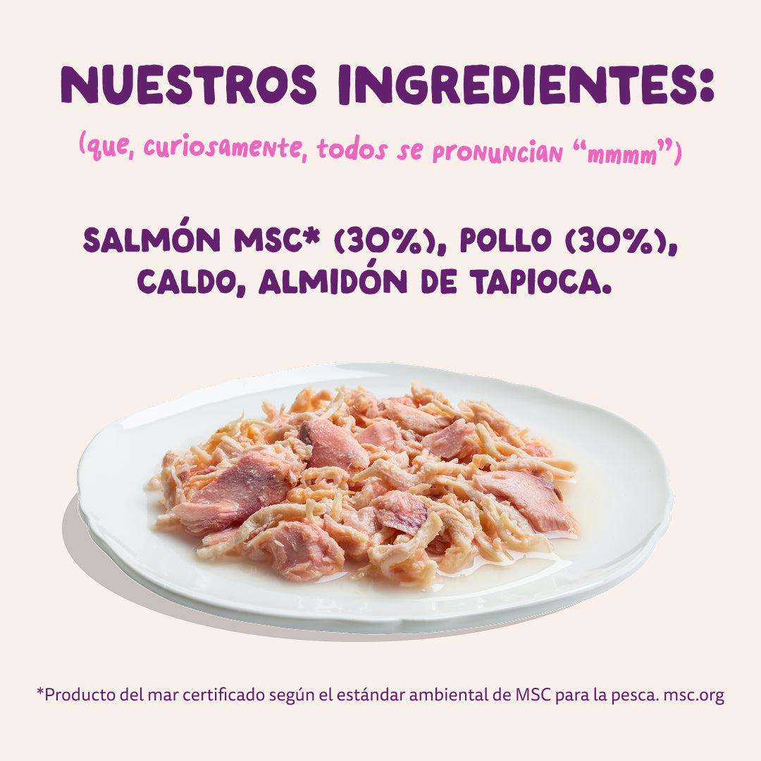 Filetes de salmón y pollo para gatos Edgard & Cooper 70 g