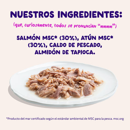Filetes de salmón y atún para gatos Edgard & Cooper 70 g