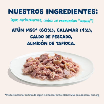 Filetes de atún con calamar para gatos Edgard & Cooper 70 g