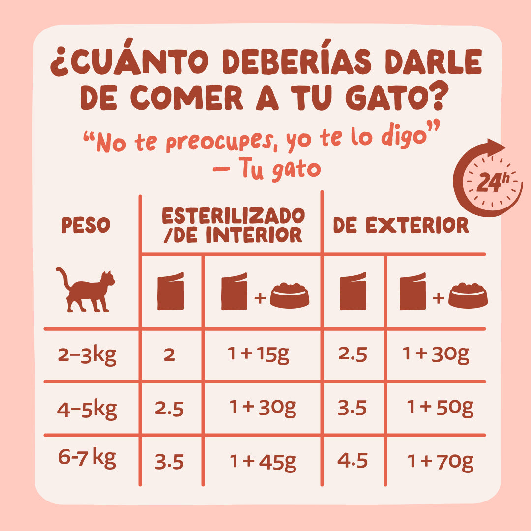 Sobres de comida húmeda Trucha & Pollo en Salsa para Gatos Adultos | Edgard & Cooper 85 g