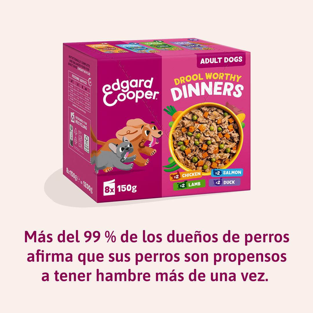 Multipack Guiso para perro Edgard & Cooper 8x150 g
