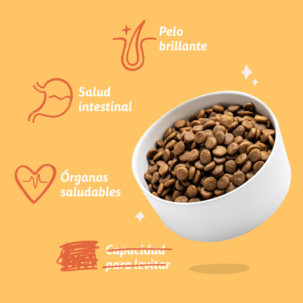 Ração Edgard &amp; Cooper Free Range Chicken para cães 1 kg