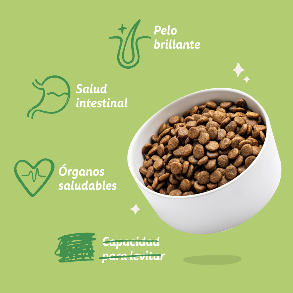 Ração para cães Edgard &amp; Cooper Cordeiro 1 kg