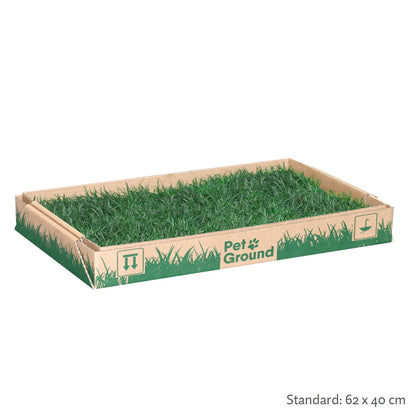 Petground, Arenero Para Gatos, Cama De Césped Natural, Hierba Gatera, Alfombra Olfativa S: 62 X 40 Cm_1