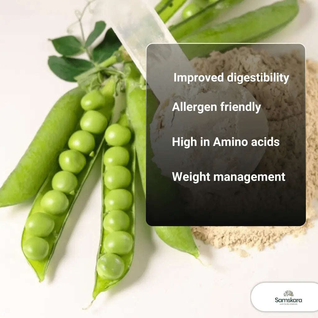 Proteína De Guisante Ultra Hidrolizada - 500g_2