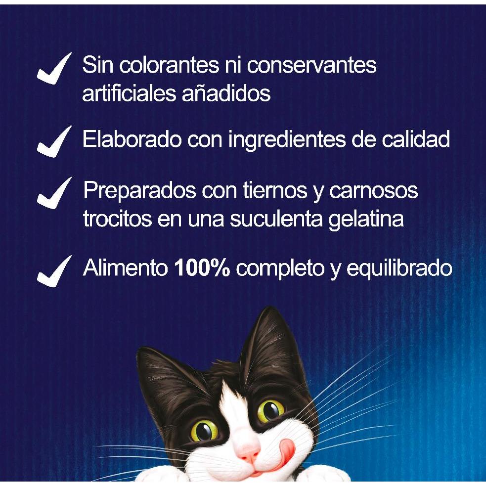 FELIX Fantástica Seleção de Sabores em Gelatina sortida embalagem 44x85g Gato